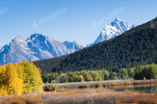 Preview: Fall Leaves With Snow Capped Mountain As A Backdrop.
