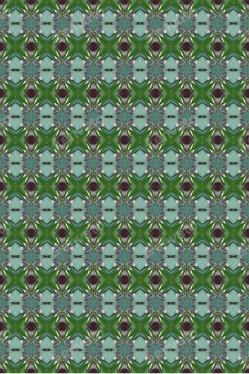 Preview: An Abstract Of Fresh Green Plumeria Rubra Leaves 0044