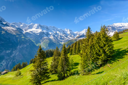 Preview: View Of Beautiful Landscape In The Alps With Fresh Green Meadows And Snow-Capped Mountain Tops In