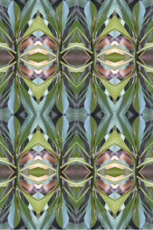 Preview: An Abstract Of Fresh Green Plumeria Rubra Leaves 0035
