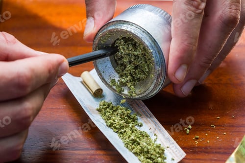 Preview: Close Up Of Stuffing And Rolling A Fake One Hundred Dollar Bill Cannabis Joint