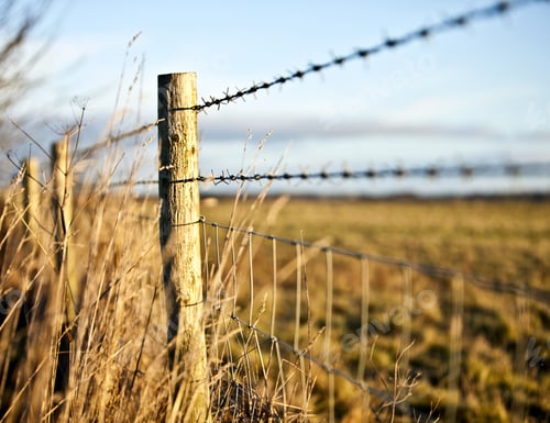 Preview: Wooden Barbed Wire Fence In The Countryside