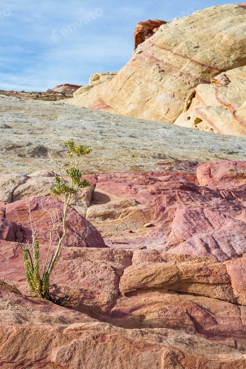 Preview: Sandstone Desert Landscape In Valley Of Fire State Park In Nevada