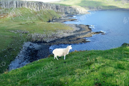 Preview: Beautiful Lush Green Landscape In Isle Of Skye, Scotland