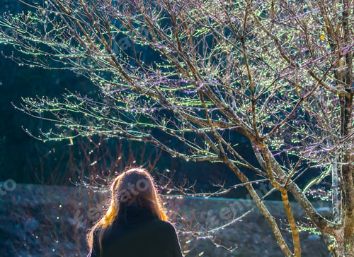 Preview: Dewdrops In The Sunlight And On A Girl'S Red Hair