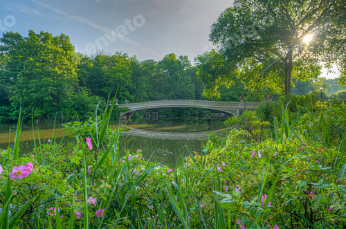 Preview: Bow Bridge, Central Park, New York City Early In The Morning, Summer With Flowers