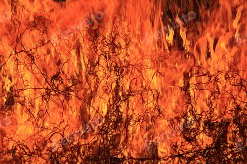 Preview: Flame And Fire Background - Management Tool Or Destructive Force - Colorful Heat