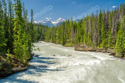 Preview: Beautiful Mountain River