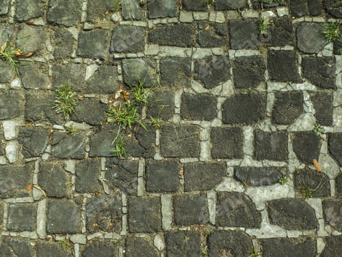 Preview: Street With Pattern Of Wood, Cobblestone, Plants Growing, Texture. Nobody