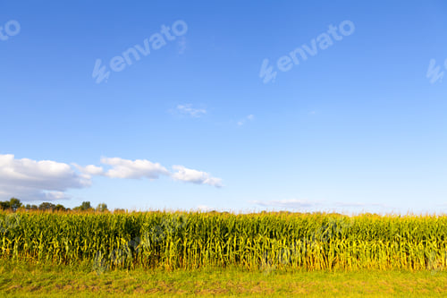 Preview: American Countryside