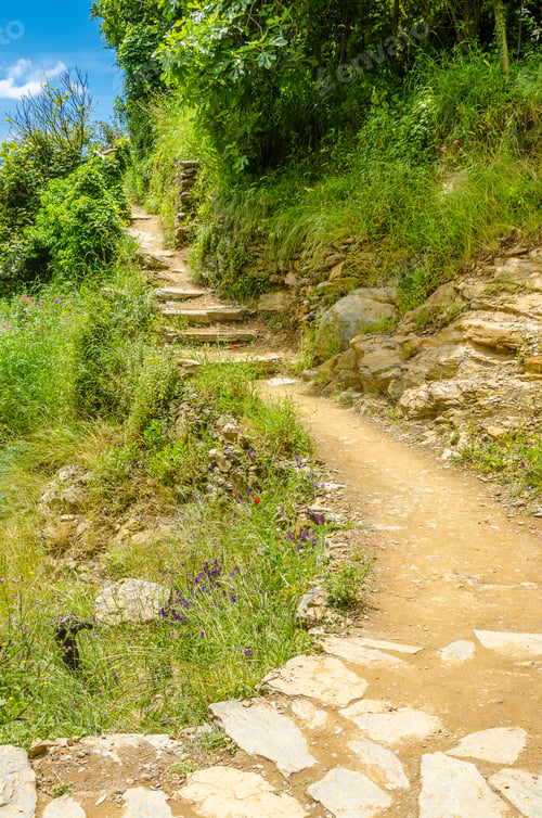 Preview: Fragment Of Monterosso - Vernazza Trail In Italy.