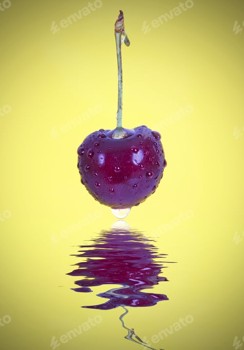 Preview: One Wet Fresh Black Cherry Against A Yellow Background