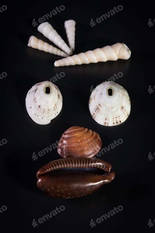 Preview: Sea Shells Arranged So That They Create A Face Emanating Emotion