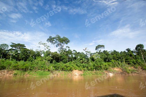 Preview: Image Of River In Peruvian Jungle. Amazon Forest During Day With Clouds. Open Nature Traveling In
