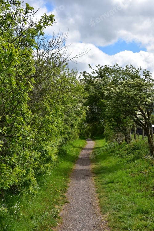 Preview: Dirt Footpath Along The Coast To Coast Route In England.