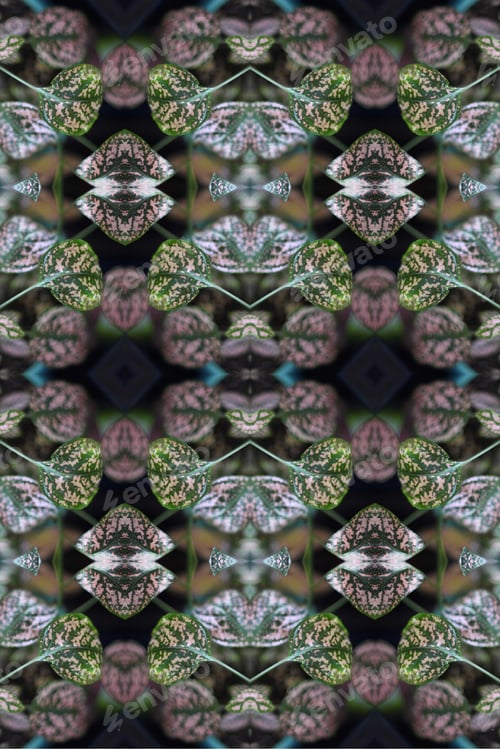 Preview: A Potted Pink Splash Plant Abstract With Lush Spotted Leaves 0273