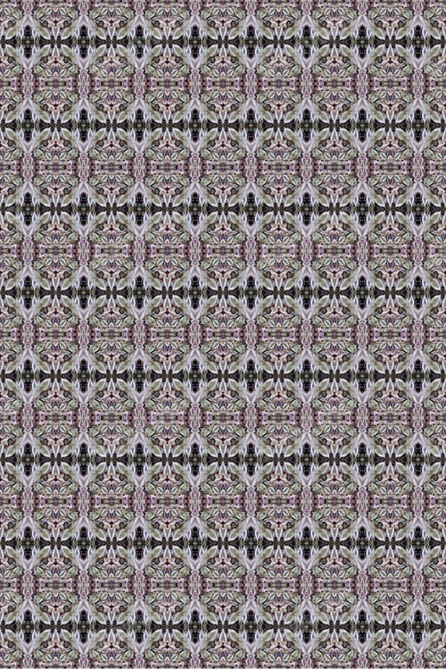 Preview: A Zebra-Patterned Inchplant Abstract With Purple And Green Leaves 0252