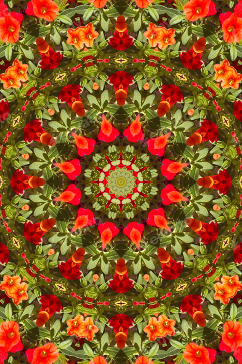 Preview: Abstract Of A Calibrachoa Plant With Bright Multicolor Flowers 1849