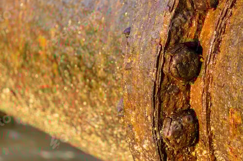 Preview: Rusty Metal Pipe
