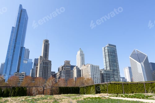 Preview: Chicago