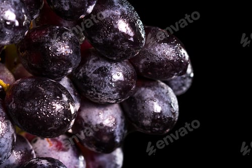 Preview: Close Up Of A Bunch Of Dark Purple Grapes Hanging Over A Black Background