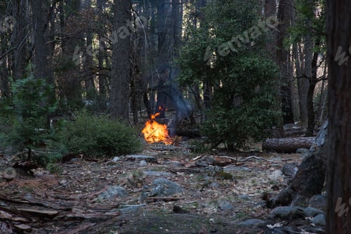 Preview: A Burning Fire In The Woods