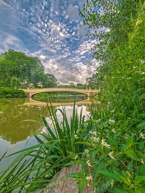 Preview: The Bow Bridge Is A Cast Iron Bridge Located In Central Park, New York City, Crossing Over The Lake
