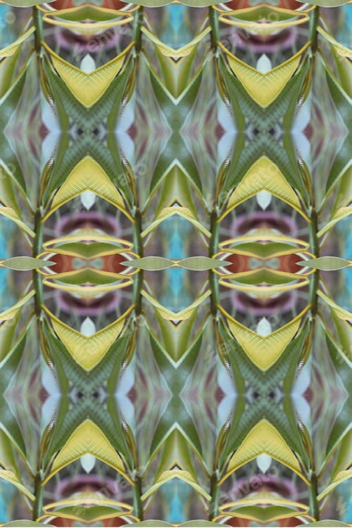 Preview: An Abstract Of Fresh Green Plumeria Rubra Leaves 0043