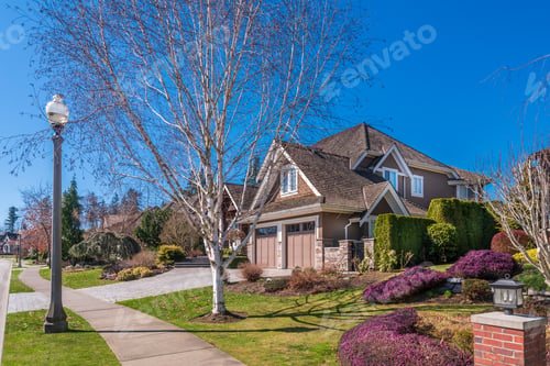 Preview: Houses In Suburb With Spring Blossom In The North America. Luxury Houses With Nice White And Pink
