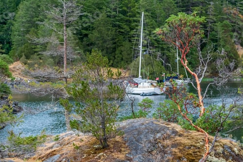 Preview: View Over Inlet, Ocean And Island With Boat And Mountains In Beautiful British Columbia. Canada.