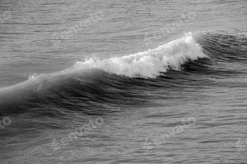 Preview: Ocean Surf In The Sunshine In Black And White