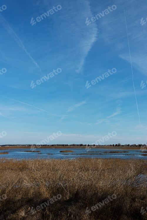 Preview: Wetland Landscape With Blue Sky
