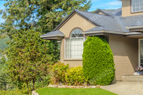 Preview: A Perfect Neighborhood. Houses In Suburb At Spring In The North America