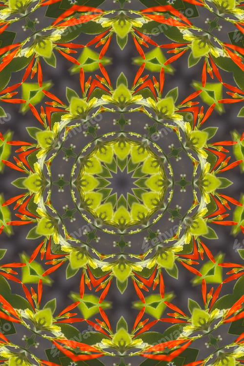 Preview: A Closeup Of A Mexican Honeysuckle Plant With Green Leaves And Bright Orange Flower Buds 2898