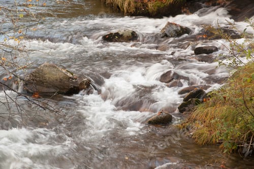 Preview: Cascades Outdoors With Rocks And Leaves