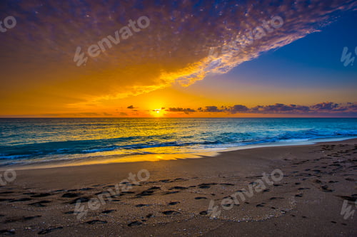 Preview: A Simple Sunrise Background With Thick Clouds And Clear Sky Sharing The Background And Seashells