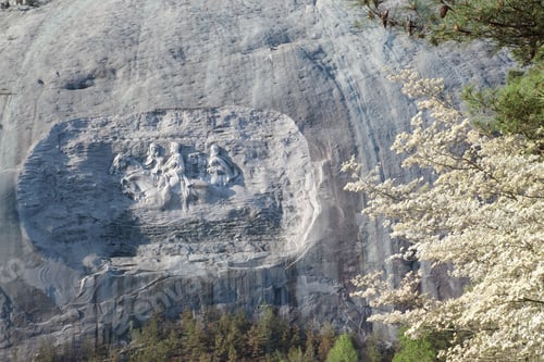 Preview: Stone Mountain Carving With Dogwood Tree In Foreground