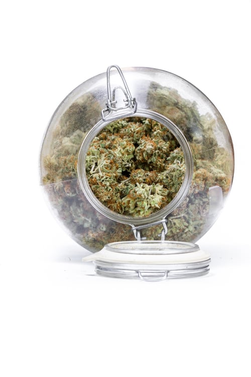 Preview: Large Storage Glass Jar Filled With Cannabis Buds On A White Background