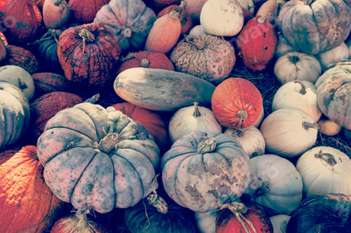 Preview: Pumpkins