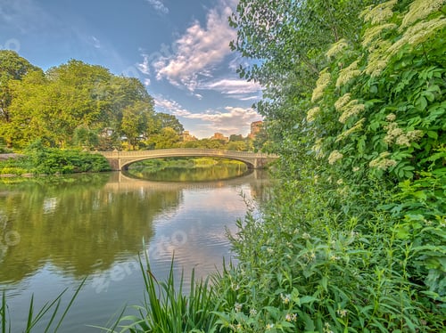 Preview: The Bow Bridge Is A Cast Iron Bridge Located In Central Park, New York City, Crossing Over The Lake