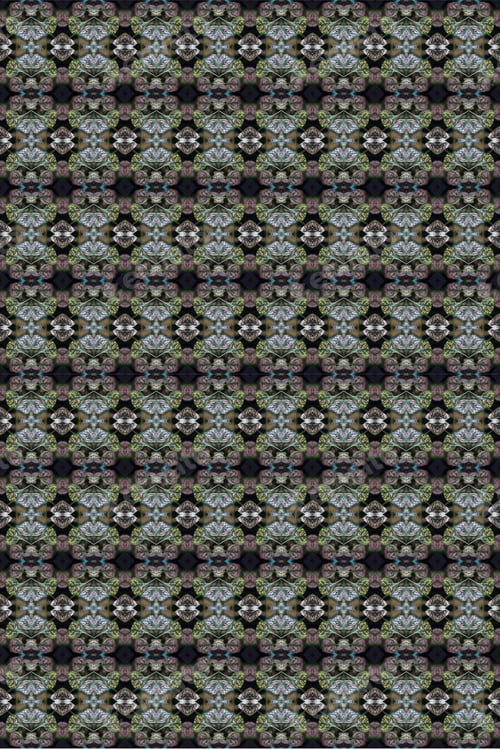 Preview: A Potted Pink Splash Plant Abstract With Lush Spotted Leaves 0273