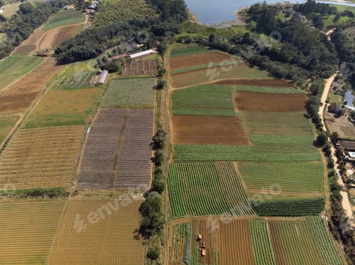 Preview: Mogi Das Cruzes, Brazil Jul 18, 2020 Aerial View Of Vegetable Crops And Legumes. The Region Is Part