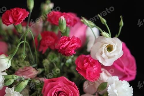 Preview: A Bouquet Of Red White And Pink Roses 1708