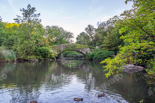 Preview: Bow Bridge, In Late Summer Early In The Morning Central Park, New York City