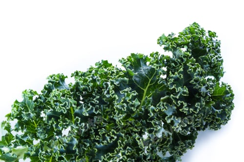 Preview: Close Up Of A Leaf Of Fresh Organic Kale On A White Background