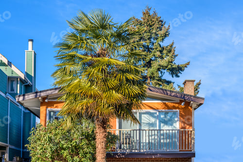 Aperçu: The Top Of The House Or Apartment Building With Nice Window.