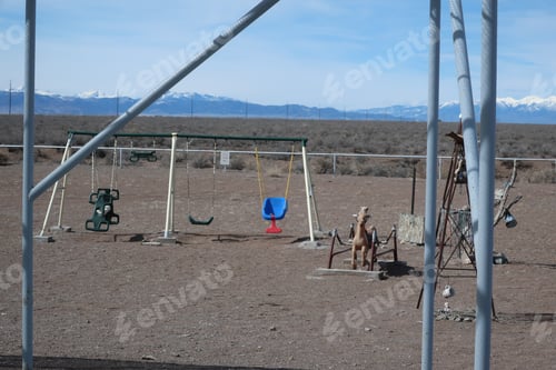 Preview: Random Items In Colorado Tundra