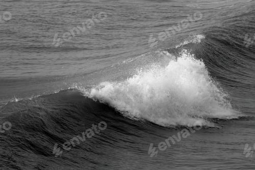 Preview: Ocean Waves In Black And White