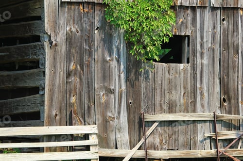 Preview: A Rustic And Old Barn Is Overtaken By Weeds As Time Flies By. Background Of Worn Wood And