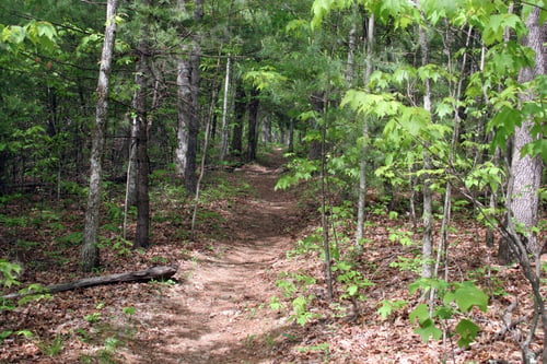 Preview: Appllation Trail, North Georgia